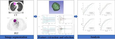 Evaluation of PD-L1 Expression Level in Patients With Non-Small Cell Lung Cancer by 18F-FDG PET/CT Radiomics and Clinicopathological Characteristics